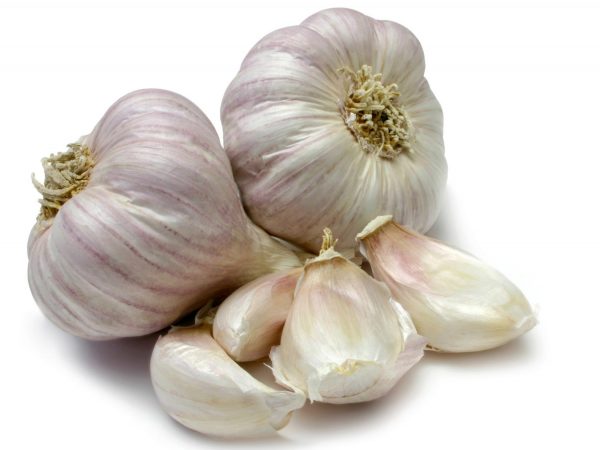 Garlic Granules (Very Fine) - Image 2