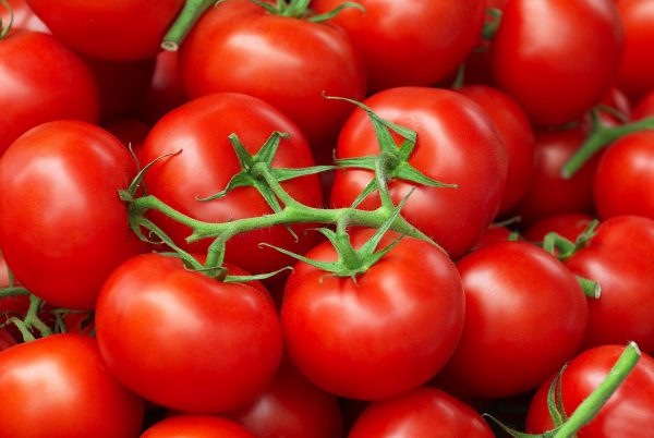 Tomato Powder - Image 2
