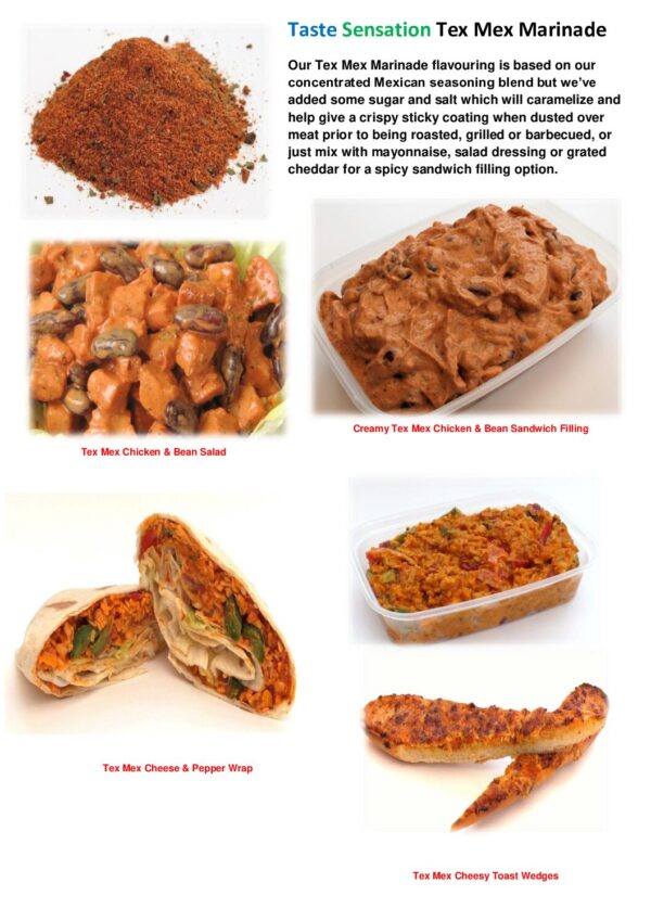 Tex Mex Marinade Flavouring - Image 9